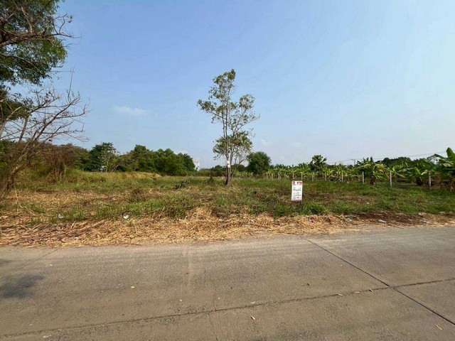 ประกาศฟรี! ซื้อ-ขาย-เช่า คอนโด บ้าน ทาวน์โฮม ที่ดิน และพื้นที่เชิงพาณิชย์ทั่วประเทศไทย ทุกทำเล ทุกงบประมาณ ไม่มีค่าใช้จ่าย ลงง่าย ขายไว เข้าถึงผู้ซื้อโดยตรง 5 313837pic4.jpg