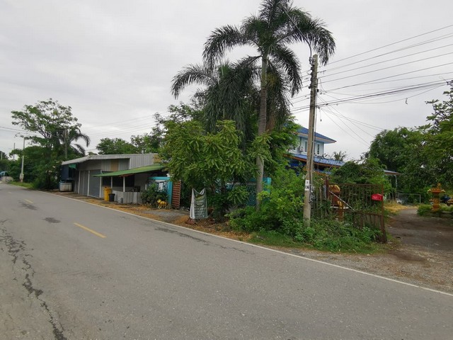 ประกาศฟรี! ซื้อ-ขาย-เช่า คอนโด บ้าน ทาวน์โฮม ที่ดิน และพื้นที่เชิงพาณิชย์ทั่วประเทศไทย ทุกทำเล ทุกงบประมาณ ไม่มีค่าใช้จ่าย ลงง่าย ขายไว เข้าถึงผู้ซื้อโดยตรง 4 249025pic3.jpg