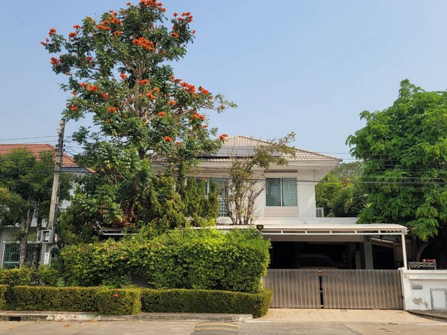 ประกาศฟรี! ซื้อ-ขาย-เช่า คอนโด บ้าน ทาวน์โฮม ที่ดิน และพื้นที่เชิงพาณิชย์ทั่วประเทศไทย ทุกทำเล ทุกงบประมาณ ไม่มีค่าใช้จ่าย ลงง่าย ขายไว เข้าถึงผู้ซื้อโดยตรง 2 249021pic1.jpg