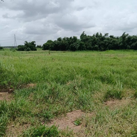 ประกาศฟรี! ซื้อ-ขาย-เช่า คอนโด บ้าน ทาวน์โฮม ที่ดิน และพื้นที่เชิงพาณิชย์ทั่วประเทศไทย ทุกทำเล ทุกงบประมาณ ไม่มีค่าใช้จ่าย ลงง่าย ขายไว เข้าถึงผู้ซื้อโดยตรง 2 295411pic1.jpg