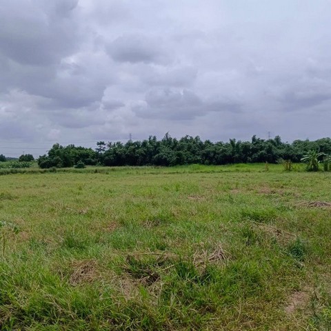 ประกาศฟรี! ซื้อ-ขาย-เช่า คอนโด บ้าน ทาวน์โฮม ที่ดิน และพื้นที่เชิงพาณิชย์ทั่วประเทศไทย ทุกทำเล ทุกงบประมาณ ไม่มีค่าใช้จ่าย ลงง่าย ขายไว เข้าถึงผู้ซื้อโดยตรง 4 295411pic3.jpg