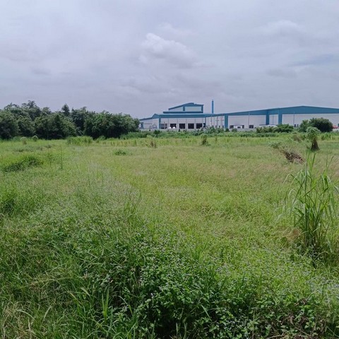 ประกาศฟรี! ซื้อ-ขาย-เช่า คอนโด บ้าน ทาวน์โฮม ที่ดิน และพื้นที่เชิงพาณิชย์ทั่วประเทศไทย ทุกทำเล ทุกงบประมาณ ไม่มีค่าใช้จ่าย ลงง่าย ขายไว เข้าถึงผู้ซื้อโดยตรง 5 295411pic4.jpg