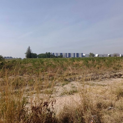 ประกาศฟรี! ซื้อ-ขาย-เช่า คอนโด บ้าน ทาวน์โฮม ที่ดิน และพื้นที่เชิงพาณิชย์ทั่วประเทศไทย ทุกทำเล ทุกงบประมาณ ไม่มีค่าใช้จ่าย ลงง่าย ขายไว เข้าถึงผู้ซื้อโดยตรง 2 295402pic1.jpg