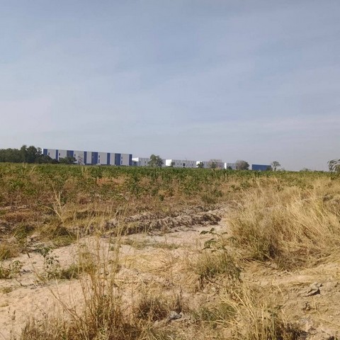 ประกาศฟรี! ซื้อ-ขาย-เช่า คอนโด บ้าน ทาวน์โฮม ที่ดิน และพื้นที่เชิงพาณิชย์ทั่วประเทศไทย ทุกทำเล ทุกงบประมาณ ไม่มีค่าใช้จ่าย ลงง่าย ขายไว เข้าถึงผู้ซื้อโดยตรง 3 295402pic2.jpg