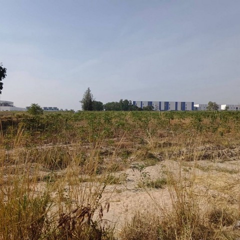 ประกาศฟรี! ซื้อ-ขาย-เช่า คอนโด บ้าน ทาวน์โฮม ที่ดิน และพื้นที่เชิงพาณิชย์ทั่วประเทศไทย ทุกทำเล ทุกงบประมาณ ไม่มีค่าใช้จ่าย ลงง่าย ขายไว เข้าถึงผู้ซื้อโดยตรง 4 295402pic3.jpg