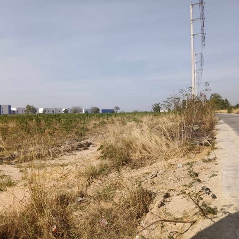 ประกาศฟรี! ซื้อ-ขาย-เช่า คอนโด บ้าน ทาวน์โฮม ที่ดิน และพื้นที่เชิงพาณิชย์ทั่วประเทศไทย ทุกทำเล ทุกงบประมาณ ไม่มีค่าใช้จ่าย ลงง่าย ขายไว เข้าถึงผู้ซื้อโดยตรง 5 295402pic4.jpg