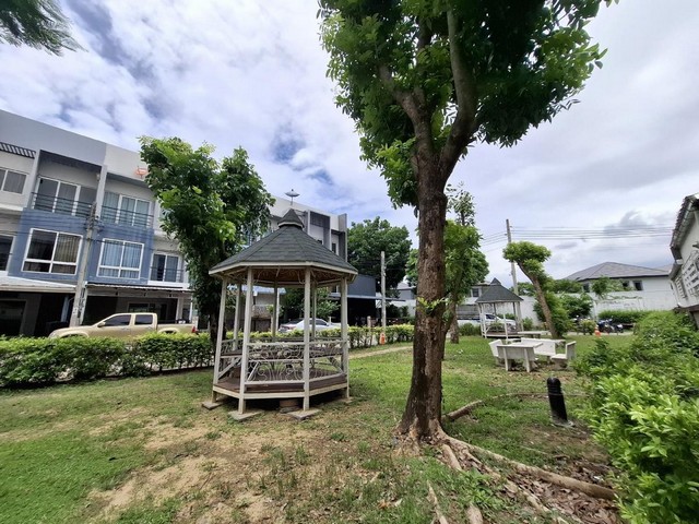 ประกาศฟรี! ซื้อ-ขาย-เช่า คอนโด บ้าน ทาวน์โฮม ที่ดิน และพื้นที่เชิงพาณิชย์ทั่วประเทศไทย ทุกทำเล ทุกงบประมาณ ไม่มีค่าใช้จ่าย ลงง่าย ขายไว เข้าถึงผู้ซื้อโดยตรง 2 313905pic1.jpg