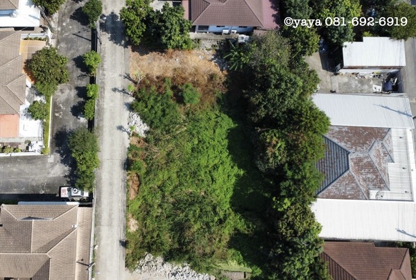 ประกาศฟรี! ซื้อ-ขาย-เช่า คอนโด บ้าน ทาวน์โฮม ที่ดิน และพื้นที่เชิงพาณิชย์ทั่วประเทศไทย ทุกทำเล ทุกงบประมาณ ไม่มีค่าใช้จ่าย ลงง่าย ขายไว เข้าถึงผู้ซื้อโดยตรง 4 511714pic3.jpg