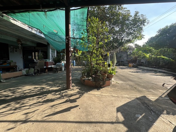 ประกาศฟรี! ซื้อ-ขาย-เช่า คอนโด บ้าน ทาวน์โฮม ที่ดิน และพื้นที่เชิงพาณิชย์ทั่วประเทศไทย ทุกทำเล ทุกงบประมาณ ไม่มีค่าใช้จ่าย ลงง่าย ขายไว เข้าถึงผู้ซื้อโดยตรง 4 511699pic3.jpg