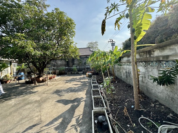 ประกาศฟรี! ซื้อ-ขาย-เช่า คอนโด บ้าน ทาวน์โฮม ที่ดิน และพื้นที่เชิงพาณิชย์ทั่วประเทศไทย ทุกทำเล ทุกงบประมาณ ไม่มีค่าใช้จ่าย ลงง่าย ขายไว เข้าถึงผู้ซื้อโดยตรง 5 511699pic4.jpg