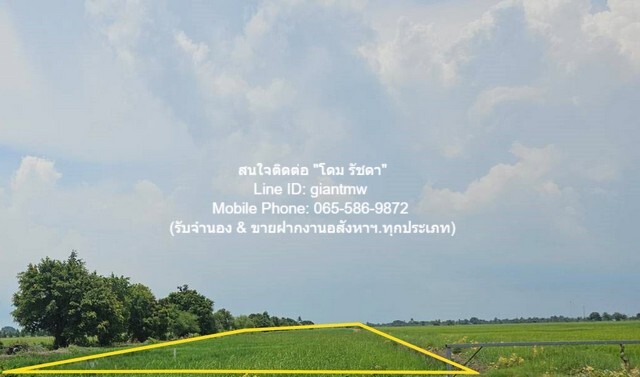 ประกาศฟรี! ซื้อ-ขาย-เช่า คอนโด บ้าน ทาวน์โฮม ที่ดิน และพื้นที่เชิงพาณิชย์ทั่วประเทศไทย ทุกทำเล ทุกงบประมาณ ไม่มีค่าใช้จ่าย ลงง่าย ขายไว เข้าถึงผู้ซื้อโดยตรง 4 279317pic3.jpg