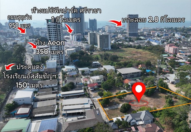 ประกาศฟรี! ซื้อ-ขาย-เช่า คอนโด บ้าน ทาวน์โฮม ที่ดิน และพื้นที่เชิงพาณิชย์ทั่วประเทศไทย ทุกทำเล ทุกงบประมาณ ไม่มีค่าใช้จ่าย ลงง่าย ขายไว เข้าถึงผู้ซื้อโดยตรง 3 249248pic2.jpg