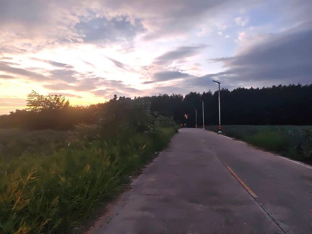 ประกาศฟรี! ซื้อ-ขาย-เช่า คอนโด บ้าน ทาวน์โฮม ที่ดิน และพื้นที่เชิงพาณิชย์ทั่วประเทศไทย ทุกทำเล ทุกงบประมาณ ไม่มีค่าใช้จ่าย ลงง่าย ขายไว เข้าถึงผู้ซื้อโดยตรง 3 313925pic2.jpg