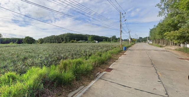 ประกาศฟรี! ซื้อ-ขาย-เช่า คอนโด บ้าน ทาวน์โฮม ที่ดิน และพื้นที่เชิงพาณิชย์ทั่วประเทศไทย ทุกทำเล ทุกงบประมาณ ไม่มีค่าใช้จ่าย ลงง่าย ขายไว เข้าถึงผู้ซื้อโดยตรง 3 313923pic2.jpg