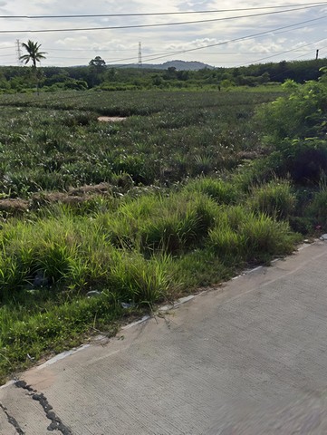 ประกาศฟรี! ซื้อ-ขาย-เช่า คอนโด บ้าน ทาวน์โฮม ที่ดิน และพื้นที่เชิงพาณิชย์ทั่วประเทศไทย ทุกทำเล ทุกงบประมาณ ไม่มีค่าใช้จ่าย ลงง่าย ขายไว เข้าถึงผู้ซื้อโดยตรง 4 313923pic3.jpg