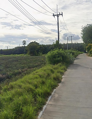 ประกาศฟรี! ซื้อ-ขาย-เช่า คอนโด บ้าน ทาวน์โฮม ที่ดิน และพื้นที่เชิงพาณิชย์ทั่วประเทศไทย ทุกทำเล ทุกงบประมาณ ไม่มีค่าใช้จ่าย ลงง่าย ขายไว เข้าถึงผู้ซื้อโดยตรง 5 313923pic4.jpg