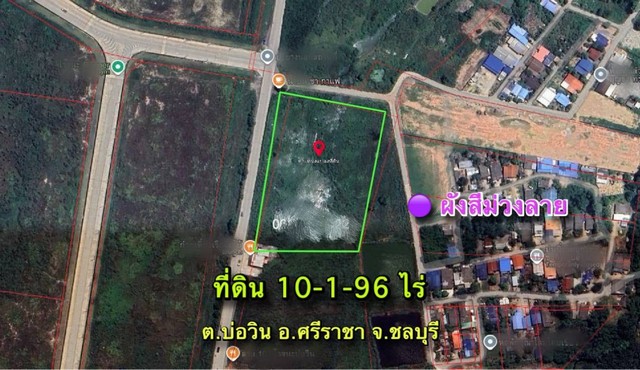 ประกาศฟรี! ซื้อ-ขาย-เช่า คอนโด บ้าน ทาวน์โฮม ที่ดิน และพื้นที่เชิงพาณิชย์ทั่วประเทศไทย ทุกทำเล ทุกงบประมาณ ไม่มีค่าใช้จ่าย ลงง่าย ขายไว เข้าถึงผู้ซื้อโดยตรง 2 313922pic1.jpg