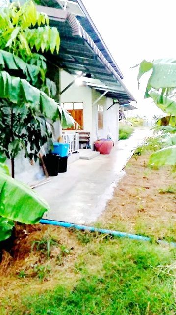 ประกาศฟรี! ซื้อ-ขาย-เช่า คอนโด บ้าน ทาวน์โฮม ที่ดิน และพื้นที่เชิงพาณิชย์ทั่วประเทศไทย ทุกทำเล ทุกงบประมาณ ไม่มีค่าใช้จ่าย ลงง่าย ขายไว เข้าถึงผู้ซื้อโดยตรง 3 249258pic2.jpg