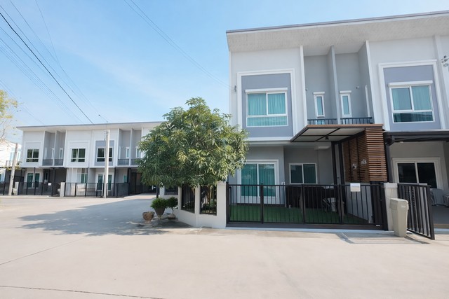 ประกาศฟรี! ซื้อ-ขาย-เช่า คอนโด บ้าน ทาวน์โฮม ที่ดิน และพื้นที่เชิงพาณิชย์ทั่วประเทศไทย ทุกทำเล ทุกงบประมาณ ไม่มีค่าใช้จ่าย ลงง่าย ขายไว เข้าถึงผู้ซื้อโดยตรง 2 249286pic1.jpg