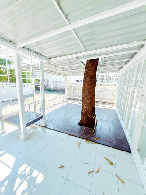 ประกาศฟรี! ซื้อ-ขาย-เช่า คอนโด บ้าน ทาวน์โฮม ที่ดิน และพื้นที่เชิงพาณิชย์ทั่วประเทศไทย ทุกทำเล ทุกงบประมาณ ไม่มีค่าใช้จ่าย ลงง่าย ขายไว เข้าถึงผู้ซื้อโดยตรง 4 249231pic3.jpg