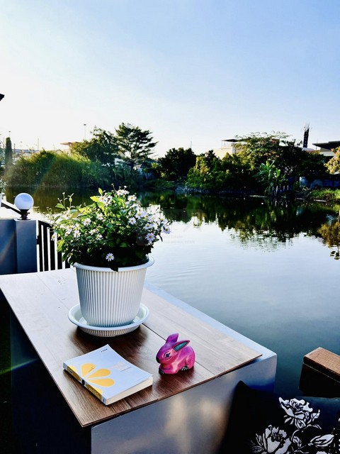 ประกาศฟรี! ซื้อ-ขาย-เช่า คอนโด บ้าน ทาวน์โฮม ที่ดิน และพื้นที่เชิงพาณิชย์ทั่วประเทศไทย ทุกทำเล ทุกงบประมาณ ไม่มีค่าใช้จ่าย ลงง่าย ขายไว เข้าถึงผู้ซื้อโดยตรง 5 511864pic4.jpg