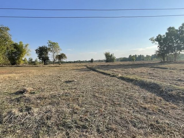 ประกาศฟรี! ซื้อ-ขาย-เช่า คอนโด บ้าน ทาวน์โฮม ที่ดิน และพื้นที่เชิงพาณิชย์ทั่วประเทศไทย ทุกทำเล ทุกงบประมาณ ไม่มีค่าใช้จ่าย ลงง่าย ขายไว เข้าถึงผู้ซื้อโดยตรง 2 313984pic1.jpg