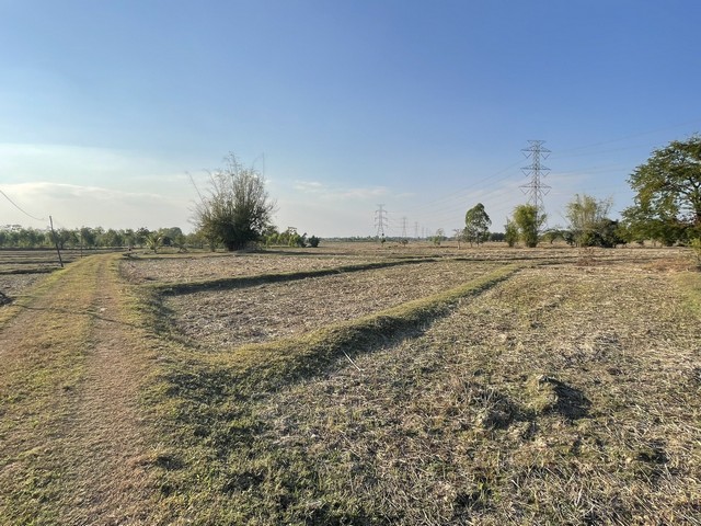 ประกาศฟรี! ซื้อ-ขาย-เช่า คอนโด บ้าน ทาวน์โฮม ที่ดิน และพื้นที่เชิงพาณิชย์ทั่วประเทศไทย ทุกทำเล ทุกงบประมาณ ไม่มีค่าใช้จ่าย ลงง่าย ขายไว เข้าถึงผู้ซื้อโดยตรง 4 313984pic3.jpg