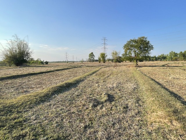 ประกาศฟรี! ซื้อ-ขาย-เช่า คอนโด บ้าน ทาวน์โฮม ที่ดิน และพื้นที่เชิงพาณิชย์ทั่วประเทศไทย ทุกทำเล ทุกงบประมาณ ไม่มีค่าใช้จ่าย ลงง่าย ขายไว เข้าถึงผู้ซื้อโดยตรง 5 313984pic4.jpg