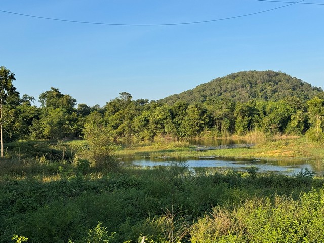 ประกาศฟรี! ซื้อ-ขาย-เช่า คอนโด บ้าน ทาวน์โฮม ที่ดิน และพื้นที่เชิงพาณิชย์ทั่วประเทศไทย ทุกทำเล ทุกงบประมาณ ไม่มีค่าใช้จ่าย ลงง่าย ขายไว เข้าถึงผู้ซื้อโดยตรง 2 313995pic1.jpg