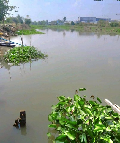 ประกาศฟรี! ซื้อ-ขาย-เช่า คอนโด บ้าน ทาวน์โฮม ที่ดิน และพื้นที่เชิงพาณิชย์ทั่วประเทศไทย ทุกทำเล ทุกงบประมาณ ไม่มีค่าใช้จ่าย ลงง่าย ขายไว เข้าถึงผู้ซื้อโดยตรง 4 313983pic3.jpg