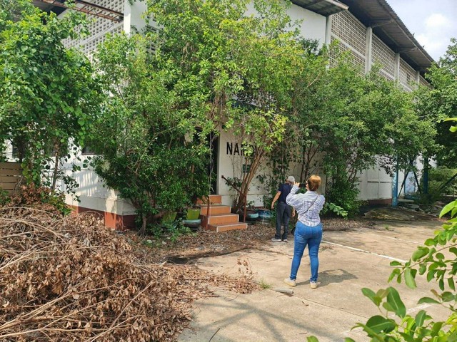 ประกาศฟรี! ซื้อ-ขาย-เช่า คอนโด บ้าน ทาวน์โฮม ที่ดิน และพื้นที่เชิงพาณิชย์ทั่วประเทศไทย ทุกทำเล ทุกงบประมาณ ไม่มีค่าใช้จ่าย ลงง่าย ขายไว เข้าถึงผู้ซื้อโดยตรง 5 313996pic4.jpg