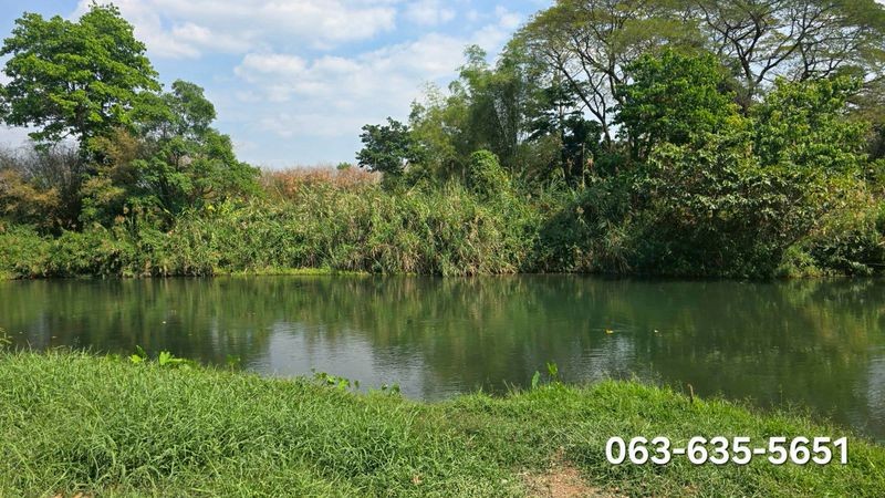 ประกาศฟรี! ซื้อ-ขาย-เช่า คอนโด บ้าน ทาวน์โฮม ที่ดิน และพื้นที่เชิงพาณิชย์ทั่วประเทศไทย ทุกทำเล ทุกงบประมาณ ไม่มีค่าใช้จ่าย ลงง่าย ขายไว เข้าถึงผู้ซื้อโดยตรง 3 511881pic2.jpg