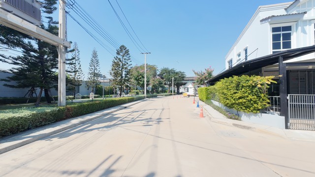 ประกาศฟรี! ซื้อ-ขาย-เช่า คอนโด บ้าน ทาวน์โฮม ที่ดิน และพื้นที่เชิงพาณิชย์ทั่วประเทศไทย ทุกทำเล ทุกงบประมาณ ไม่มีค่าใช้จ่าย ลงง่าย ขายไว เข้าถึงผู้ซื้อโดยตรง 3 249346pic2.jpg