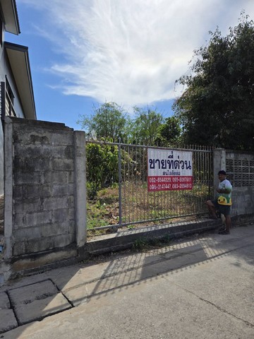 ประกาศฟรี! ซื้อ-ขาย-เช่า คอนโด บ้าน ทาวน์โฮม ที่ดิน และพื้นที่เชิงพาณิชย์ทั่วประเทศไทย ทุกทำเล ทุกงบประมาณ ไม่มีค่าใช้จ่าย ลงง่าย ขายไว เข้าถึงผู้ซื้อโดยตรง 3 249351pic2.jpg