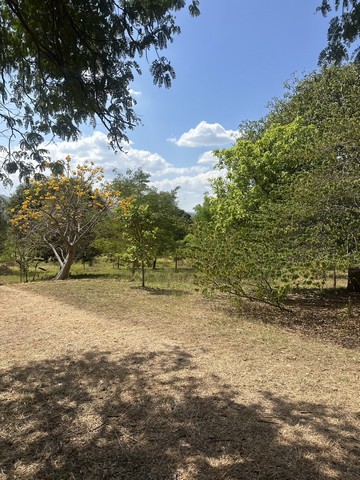 ประกาศฟรี! ซื้อ-ขาย-เช่า คอนโด บ้าน ทาวน์โฮม ที่ดิน และพื้นที่เชิงพาณิชย์ทั่วประเทศไทย ทุกทำเล ทุกงบประมาณ ไม่มีค่าใช้จ่าย ลงง่าย ขายไว เข้าถึงผู้ซื้อโดยตรง 3 249189pic2.jpg