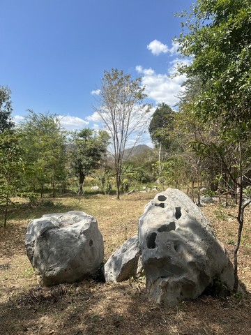 ประกาศฟรี! ซื้อ-ขาย-เช่า คอนโด บ้าน ทาวน์โฮม ที่ดิน และพื้นที่เชิงพาณิชย์ทั่วประเทศไทย ทุกทำเล ทุกงบประมาณ ไม่มีค่าใช้จ่าย ลงง่าย ขายไว เข้าถึงผู้ซื้อโดยตรง 4 249189pic3.jpg