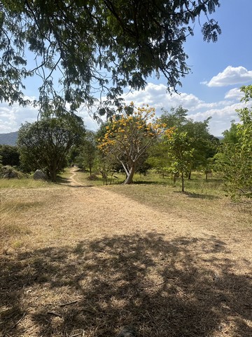 ประกาศฟรี! ซื้อ-ขาย-เช่า คอนโด บ้าน ทาวน์โฮม ที่ดิน และพื้นที่เชิงพาณิชย์ทั่วประเทศไทย ทุกทำเล ทุกงบประมาณ ไม่มีค่าใช้จ่าย ลงง่าย ขายไว เข้าถึงผู้ซื้อโดยตรง 5 249189pic4.jpg