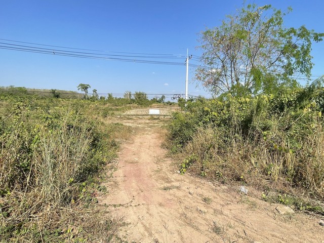 ประกาศฟรี! ซื้อ-ขาย-เช่า คอนโด บ้าน ทาวน์โฮม ที่ดิน และพื้นที่เชิงพาณิชย์ทั่วประเทศไทย ทุกทำเล ทุกงบประมาณ ไม่มีค่าใช้จ่าย ลงง่าย ขายไว เข้าถึงผู้ซื้อโดยตรง 2 314043pic1.jpg