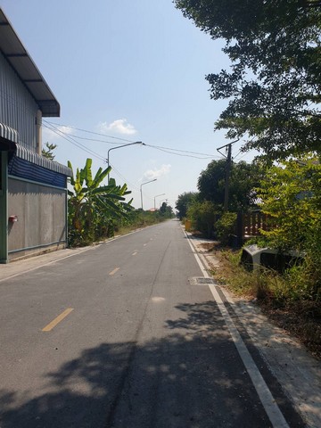 ประกาศฟรี! ซื้อ-ขาย-เช่า คอนโด บ้าน ทาวน์โฮม ที่ดิน และพื้นที่เชิงพาณิชย์ทั่วประเทศไทย ทุกทำเล ทุกงบประมาณ ไม่มีค่าใช้จ่าย ลงง่าย ขายไว เข้าถึงผู้ซื้อโดยตรง 5 13906pic4.jpg