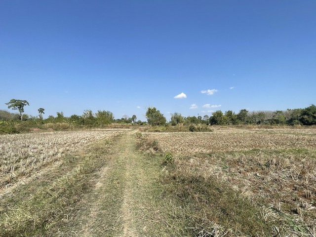 ประกาศฟรี! ซื้อ-ขาย-เช่า คอนโด บ้าน ทาวน์โฮม ที่ดิน และพื้นที่เชิงพาณิชย์ทั่วประเทศไทย ทุกทำเล ทุกงบประมาณ ไม่มีค่าใช้จ่าย ลงง่าย ขายไว เข้าถึงผู้ซื้อโดยตรง 4 314043pic3.jpg