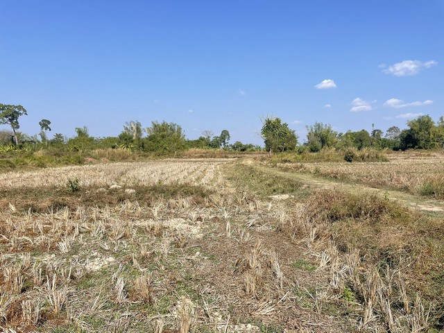 ประกาศฟรี! ซื้อ-ขาย-เช่า คอนโด บ้าน ทาวน์โฮม ที่ดิน และพื้นที่เชิงพาณิชย์ทั่วประเทศไทย ทุกทำเล ทุกงบประมาณ ไม่มีค่าใช้จ่าย ลงง่าย ขายไว เข้าถึงผู้ซื้อโดยตรง 5 314043pic4.jpg