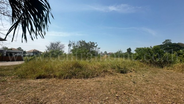 ประกาศฟรี! ซื้อ-ขาย-เช่า คอนโด บ้าน ทาวน์โฮม ที่ดิน และพื้นที่เชิงพาณิชย์ทั่วประเทศไทย ทุกทำเล ทุกงบประมาณ ไม่มีค่าใช้จ่าย ลงง่าย ขายไว เข้าถึงผู้ซื้อโดยตรง 5 249398pic4.jpg