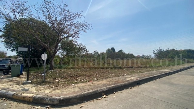 ประกาศฟรี! ซื้อ-ขาย-เช่า คอนโด บ้าน ทาวน์โฮม ที่ดิน และพื้นที่เชิงพาณิชย์ทั่วประเทศไทย ทุกทำเล ทุกงบประมาณ ไม่มีค่าใช้จ่าย ลงง่าย ขายไว เข้าถึงผู้ซื้อโดยตรง 2 249383pic1.jpg