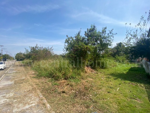 ประกาศฟรี! ซื้อ-ขาย-เช่า คอนโด บ้าน ทาวน์โฮม ที่ดิน และพื้นที่เชิงพาณิชย์ทั่วประเทศไทย ทุกทำเล ทุกงบประมาณ ไม่มีค่าใช้จ่าย ลงง่าย ขายไว เข้าถึงผู้ซื้อโดยตรง 4 249383pic3.jpg