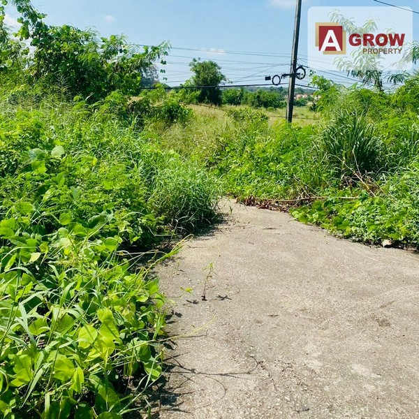 ประกาศฟรี! ซื้อ-ขาย-เช่า คอนโด บ้าน ทาวน์โฮม ที่ดิน และพื้นที่เชิงพาณิชย์ทั่วประเทศไทย ทุกทำเล ทุกงบประมาณ ไม่มีค่าใช้จ่าย ลงง่าย ขายไว เข้าถึงผู้ซื้อโดยตรง 2 313892pic1.jpg