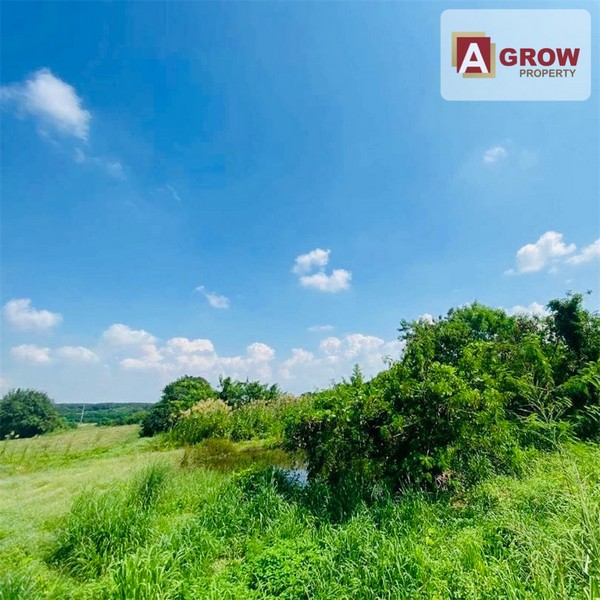 ประกาศฟรี! ซื้อ-ขาย-เช่า คอนโด บ้าน ทาวน์โฮม ที่ดิน และพื้นที่เชิงพาณิชย์ทั่วประเทศไทย ทุกทำเล ทุกงบประมาณ ไม่มีค่าใช้จ่าย ลงง่าย ขายไว เข้าถึงผู้ซื้อโดยตรง 3 313892pic2.jpg