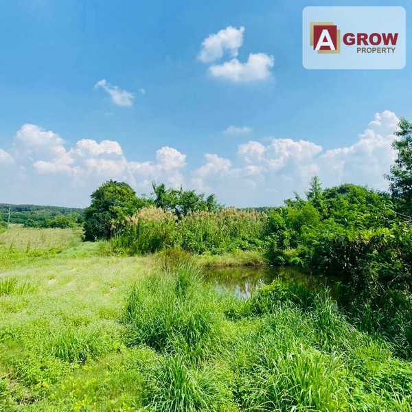 ประกาศฟรี! ซื้อ-ขาย-เช่า คอนโด บ้าน ทาวน์โฮม ที่ดิน และพื้นที่เชิงพาณิชย์ทั่วประเทศไทย ทุกทำเล ทุกงบประมาณ ไม่มีค่าใช้จ่าย ลงง่าย ขายไว เข้าถึงผู้ซื้อโดยตรง 4 313892pic3.jpg