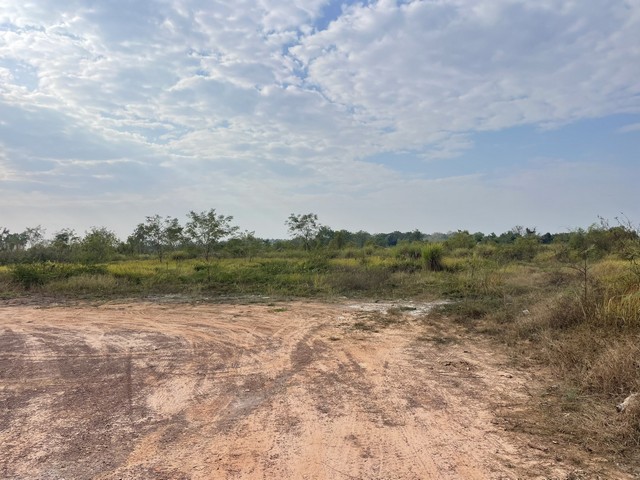 ประกาศฟรี! ซื้อ-ขาย-เช่า คอนโด บ้าน ทาวน์โฮม ที่ดิน และพื้นที่เชิงพาณิชย์ทั่วประเทศไทย ทุกทำเล ทุกงบประมาณ ไม่มีค่าใช้จ่าย ลงง่าย ขายไว เข้าถึงผู้ซื้อโดยตรง 5 314057pic4.jpg