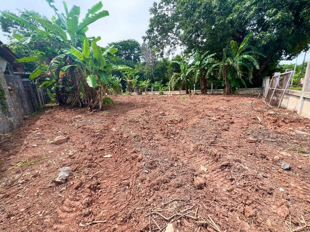 ประกาศฟรี! ซื้อ-ขาย-เช่า คอนโด บ้าน ทาวน์โฮม ที่ดิน และพื้นที่เชิงพาณิชย์ทั่วประเทศไทย ทุกทำเล ทุกงบประมาณ ไม่มีค่าใช้จ่าย ลงง่าย ขายไว เข้าถึงผู้ซื้อโดยตรง 5 293749pic4.jpg