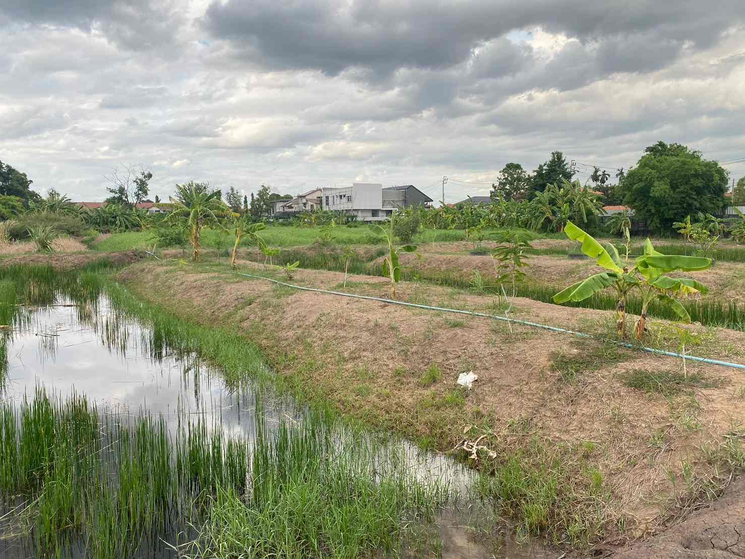 ประกาศฟรี! ซื้อ-ขาย-เช่า คอนโด บ้าน ทาวน์โฮม ที่ดิน และพื้นที่เชิงพาณิชย์ทั่วประเทศไทย ทุกทำเล ทุกงบประมาณ ไม่มีค่าใช้จ่าย ลงง่าย ขายไว เข้าถึงผู้ซื้อโดยตรง 3 314049pic2.jpg